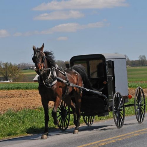 Our Amish Neighbors